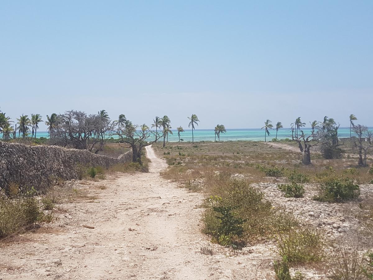 Nyumba Ya Afrika Bed & Breakfast Watamu Eksteriør bilde